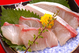 活　かんぱち刺身