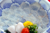 活　平目うす造り