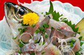 活　鯵タタキ