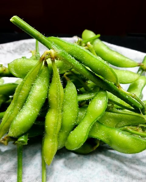 枝の枝豆