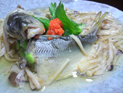鮎豆腐